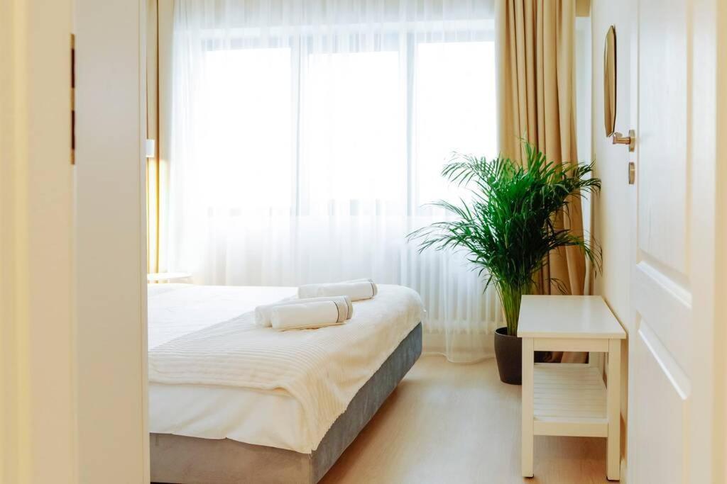 Elegant Vibes Apartment Next To Obor Market Βουκουρέστι Εξωτερικό φωτογραφία