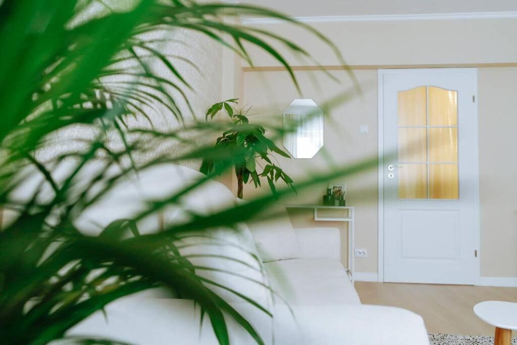 Elegant Vibes Apartment Next To Obor Market Βουκουρέστι Εξωτερικό φωτογραφία
